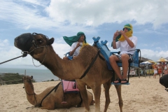 Camel_Ride_at_the_dunes